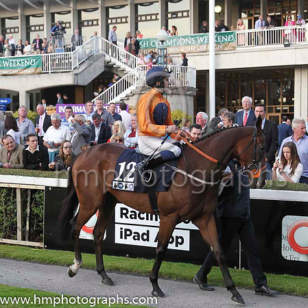 01 Baraweez and C O'Conoghue - - 01st (12 ,orange, dark blue disc ) Trainer - B Ellison