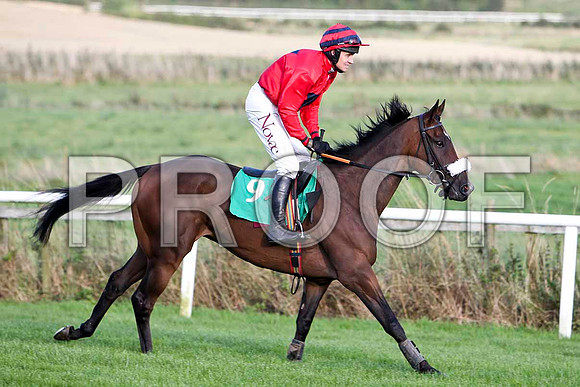 Asymmetrical - 7th -FT8E4873-e