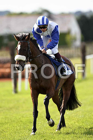 Vampire Blues winner, Jockey K Latham - FT8E1622-e