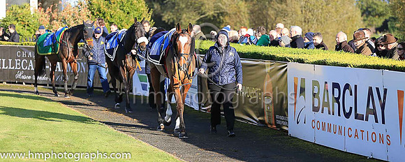 PU Don Poli and B J Geraghty ( 1 , maroon , white star, maroon cap ) Trainer - G Elliott , Owner - Gigginstown House Stud