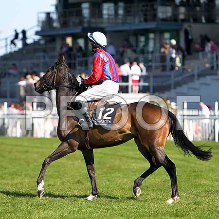 Sarah Ann - 9th, Jockey Mr C Motherway - FT8E2232-e