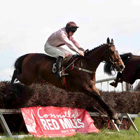 Little Luv , Fel, Jockey M J O'Hare - CU2D4564-e