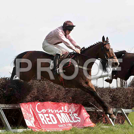 Little Luv , Fel, Jockey M J O'Hare - CU2D4564-e