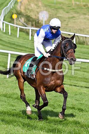 Sher Fountin, 13th Jockey M J Ferris- CU2D1781-e