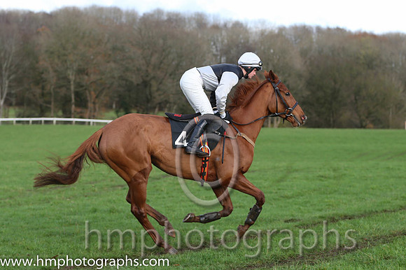 06 Yorkhill and G Quinn - PU - 06th (4 ,black  white qtrd ) Trainer - Colin S McKeever