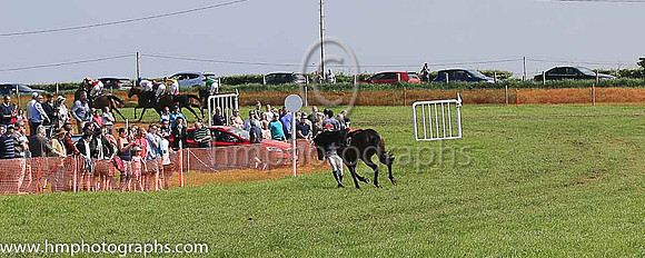 TULLYORIOR and R A Devine ( 10 , PURPLE; white sleeves; red cap,white star ) Trainer: Catherine Barry , Owner : Catherine Barry