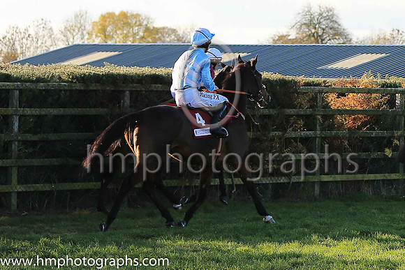 04th Sadler?s Risk and D J Mullins ( 4 , light blue, pink chevrons ) Trainer - H de Bromhead , Owner - R S Brookhouse