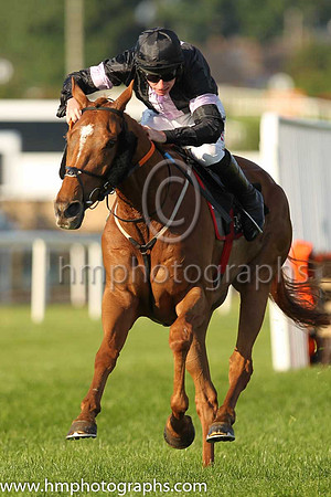 01st Bravo Team and J.W. Kennedy (8 ,black ,mauve stripe ), Trainer:Gordon Elliott , Owner:Pioneer Racing