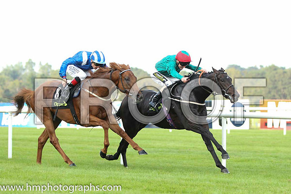 02 Mustajeeb and P J Smullen - - 02nd (8 ,royal blue, white epaulettes ) Trainer -   01 Bow Creek and J Fanning - - 01st (6 ,dark green, red cap ) Trainer - M Johnston