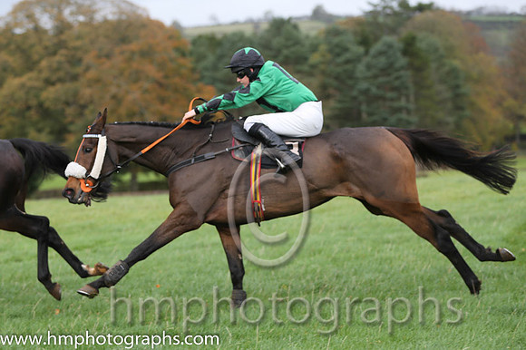 04 Vicsaflia and Miss R Blackmore - - 04th (8 ,emerald green, black hollow box ) Trainer - Dermot McLoughlin