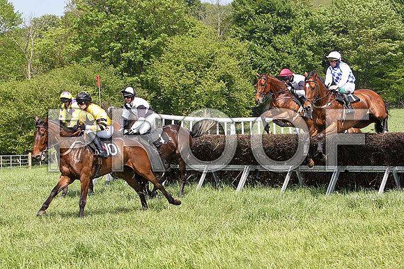 First Race - Gurrawn (10) , Sir Penkerlen (4) & Vessey Lodge (7) 3rd - CU2D9522-e