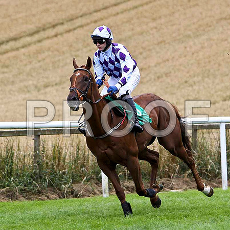 Bold Apache - 7th , Jockey P Townend - FT8E3832-e