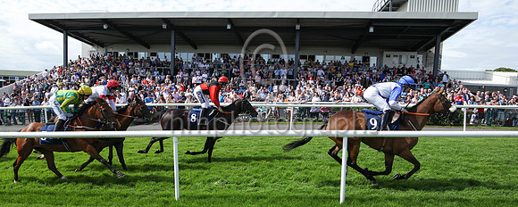 01st Typical Thomas (9 , blue, white diabolo ) Jockey: Peter Smithers7 , Trainer: James Andrew Fahey