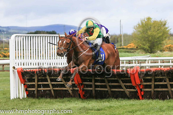 01st Shantou Lucky and Reserve 2 ( 21 , green, red star ) Trainer - G P Cromwell , Owner - Lucky Seven Syndicate