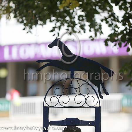 Irish Champion weekend at Leopardstown