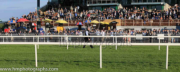Gordon Elliott at Down Royal on 3rd June 2022