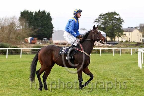 The Ring Is King & M Darcy - 6th (5, royal blue, yellow epaulettes) - FT8E7530-e