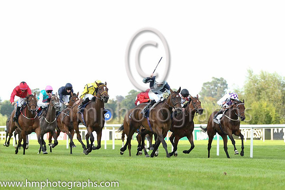 01 Fiesolana and W J Lee - - 01st (1 ,dark Blue, light blue cross sashes ) Trainer - W McCreery