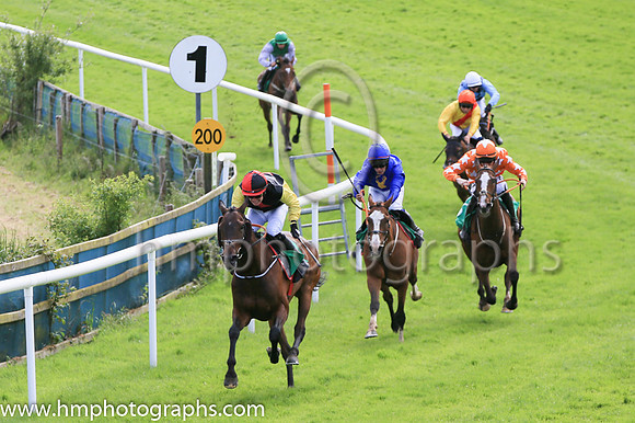 03rd The Abbey (4 ,royal blue, gold stag's head ) Jockey: S D Torrens ,Trainer: Gordon Elliott