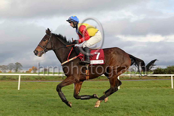 Trafford Lad , Jockey T J Doyle - PU -FT8E4718-e