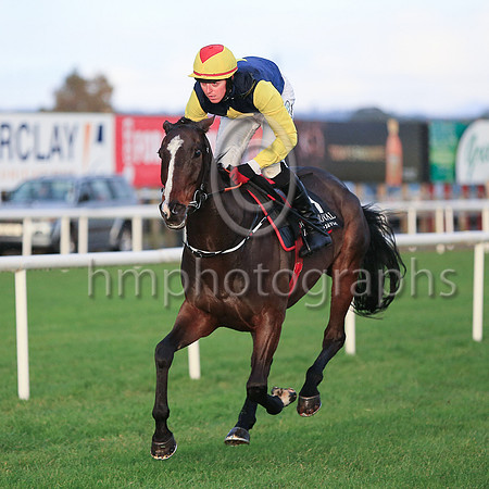 01st Realt Mor and K M Donoghue ( 1 , black, yellow diamond ) Trainer - G Elliott , Owner - Mrs P Sloan