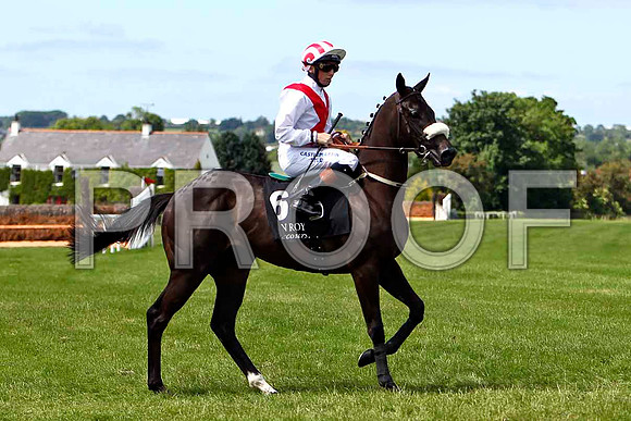 Ferocious Fran , Jockey C D Hayes , 3rd- CU2D0185-e