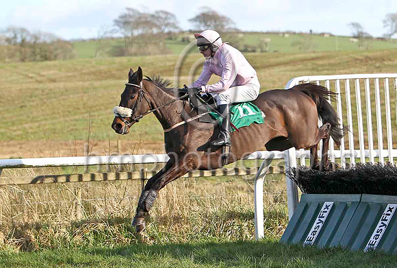Pink Goddess (11) & K Whelan - 2nd - FT8E9826-e