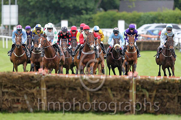 R3 - Alamiyan, Johnee Joblot , Seldom Fed, Lightening Sky , Duroob 1st ,Topo Gigio, Dew on the Grass , Wee Marty,  The Occupier ,Dizzy Rascal,,City Hustler , Yes Man - FT8E0445-e