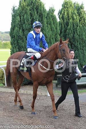 02 Mustajeeb and P J Smullen - - 02nd (8 ,royal blue, white epaulettes ) Trainer -