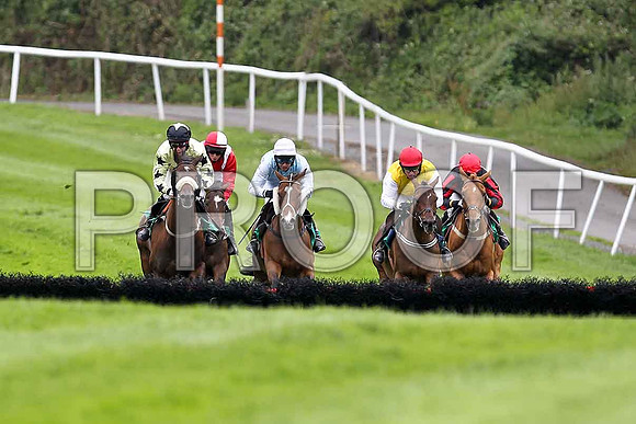 Glen Orchy lad, Perfect Buttons, Fleeting Moment , Golden Grimshaw , Turner Brown - FT8E1644-e
