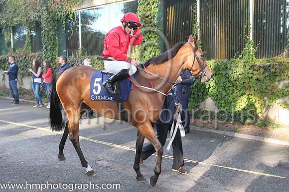 05 Wanabe Better and W M Lordan - - 05th (5 ,red, black seams ) Trainer - T Stack