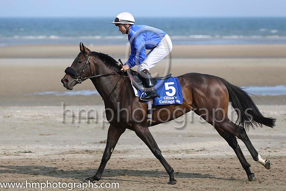 3 Acting Talent and N G McCullagh - - 3rd (5 ,royal blue, white cap ) Trainer - M C Grassick