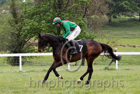 Fort View Wings , 6th, Jockey Derek O'Connor - CU2D4805-e