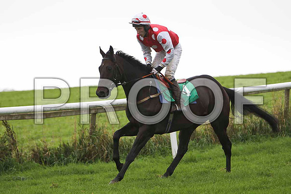 Breeze With Ease , Jockey E J O'Connell - Winner - CU2D2302-e
