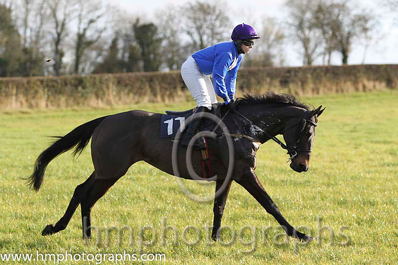 07 Gibbstown & Ms L O'Neill - 7th (11,royal blue, white panel ) - FT8E0712-98
