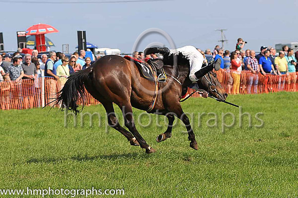 TULLYORIOR and R A Devine ( 10 , PURPLE; white sleeves; red cap,white star ) Trainer: Catherine Barry , Owner : Catherine Barry