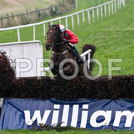 Paddy O Dee - Winner, Jockey D J Bates - FT8E5412-e