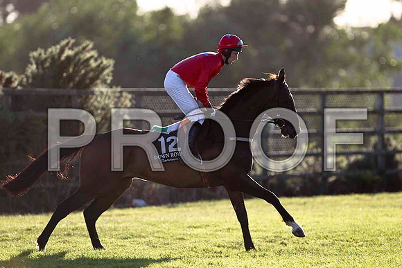 Topo Gigio 4th, Jockey E J O'Connell - FT8E1089-e