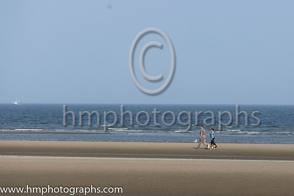 Laytown Races -AA1V3026