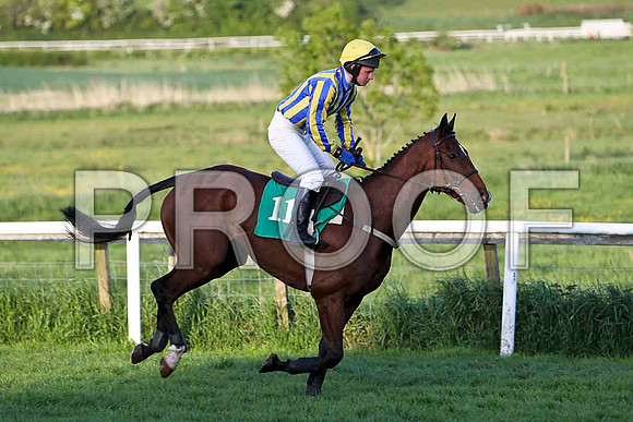 Sunny Option , PU, Jockey - Mr N McParlan - FT8E3140-e