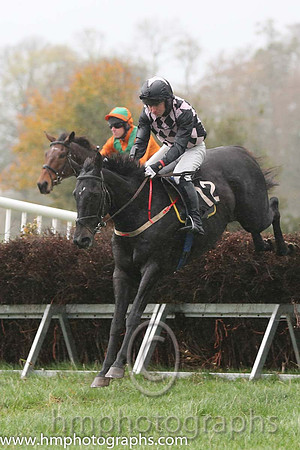 02 Mr Bolt and N McParlan - - 02nd (12 ,black and pink diamonds ) Trainer - Sean McParlan