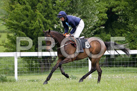 Hit the Road Jack , PU, Jockey - G M Mangan - FT8E2392-e