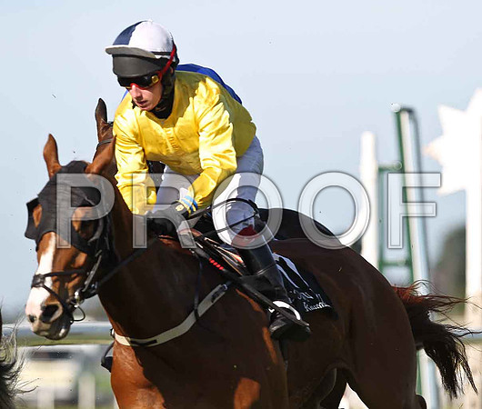 The Occupier Jockey P F Mangan in second place at the paddock bend - FT8E0931-e