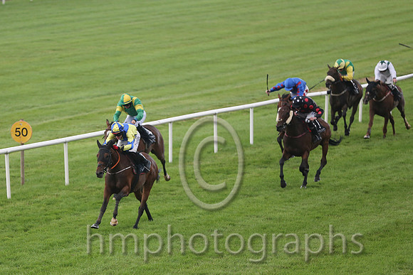 01st Rock On Rosie ( 1 , yellow, royal blue cross sashes ) and Shane Shortall (5) - Trainer : Adrian Brendan Joyce - Owner : Mrs Geraldine Devine