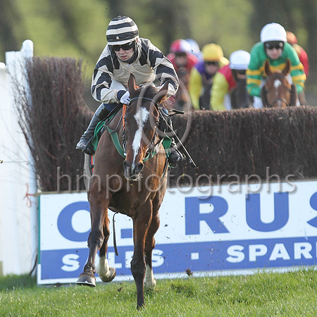 01st Springfield Lodge  and J C Gainford7 ( 13 , beige, black epaulettes ) Trainer - E OGrady , Owner - Falcon Four Syndicate