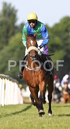 Cuban Missile Jockey R J McGrath 7th - FT8E0941-e