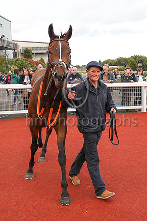 01st Mr Michael  Shane Foley (6, light blue, black stars) trainer Adrian Brendan Joyce, Owner Mrs Christina Joyce