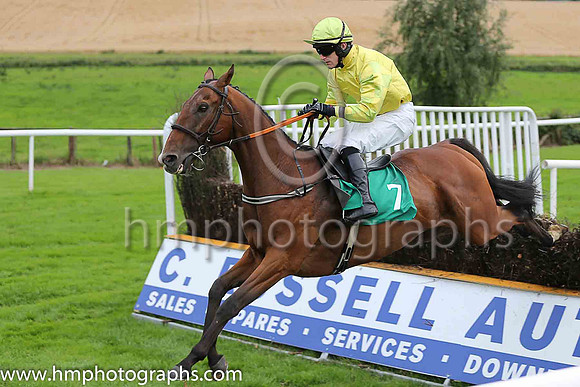 07th Laudatory and A Ring ( 7 , yellow ) Trainer - P J Rothwell , Owner - Eric Newnham