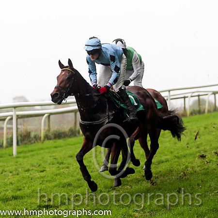 03 Darwins Theory and G N Fox - - 03rd (1 ,Light blue, dark blue diamond ) Trainer - J Queally