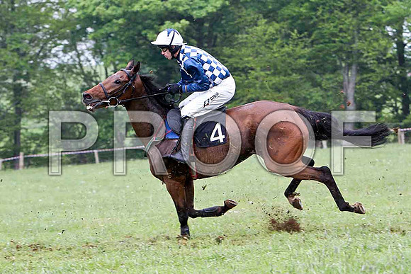 No Way Out , 8th, Jockey - Derek O'Connor -FT8E2731-e